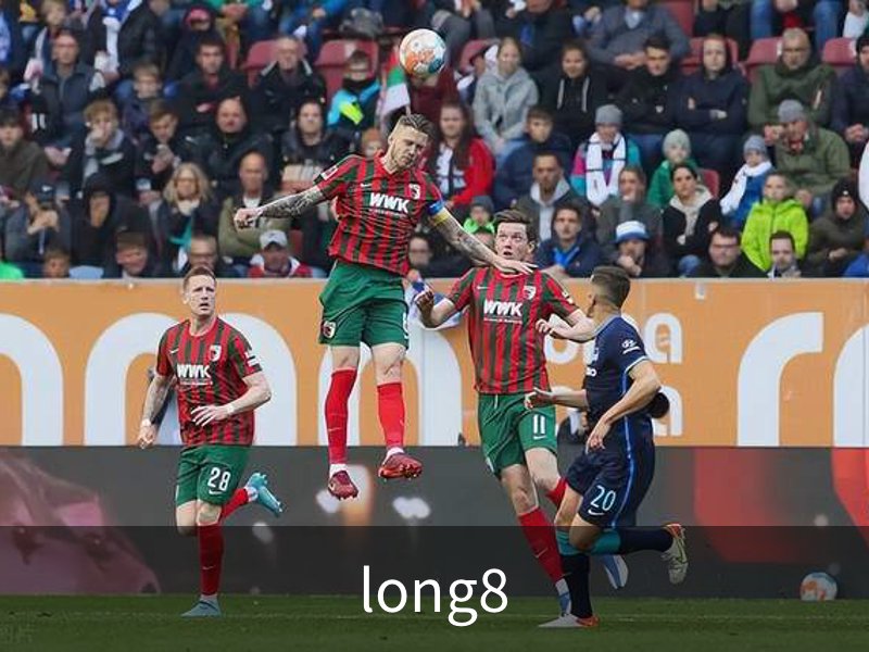 long8简介